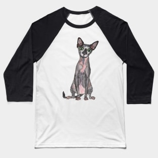 Sphynx Cat Baseball T-Shirt